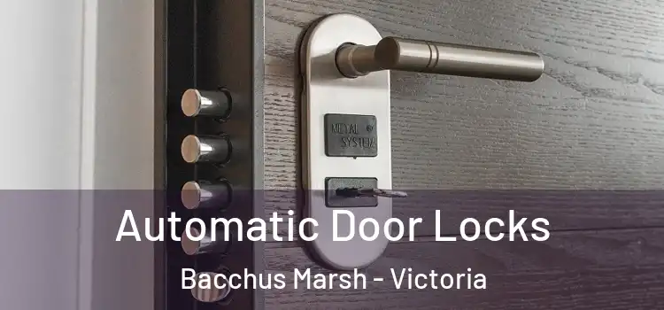 Automatic Door Locks Bacchus Marsh - Victoria