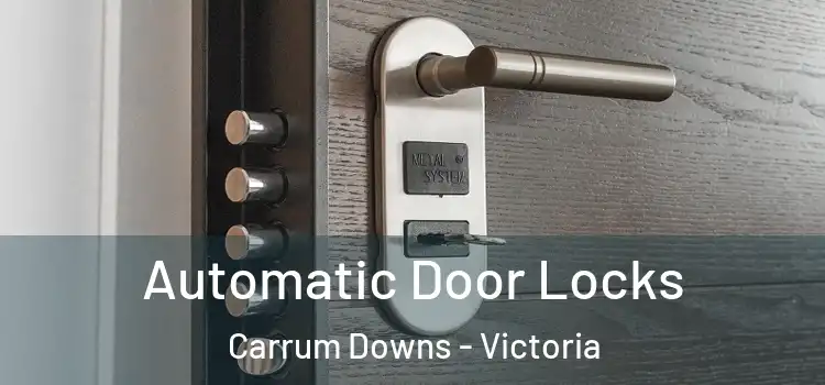 Automatic Door Locks Carrum Downs - Victoria