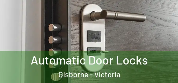 Automatic Door Locks Gisborne - Victoria