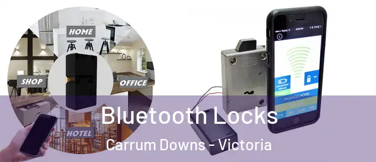 Bluetooth Locks Carrum Downs - Victoria