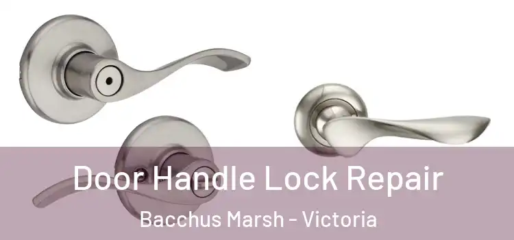 Door Handle Lock Repair Bacchus Marsh - Victoria