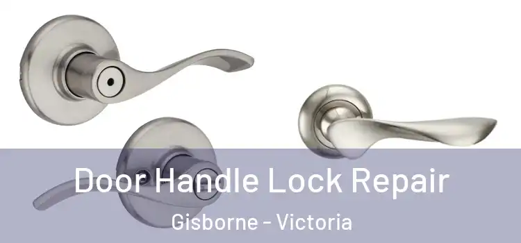 Door Handle Lock Repair Gisborne - Victoria