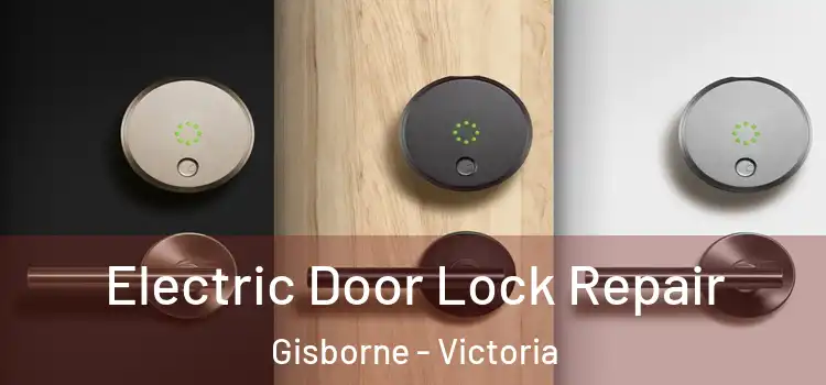 Electric Door Lock Repair Gisborne - Victoria