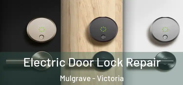 Electric Door Lock Repair Mulgrave - Victoria