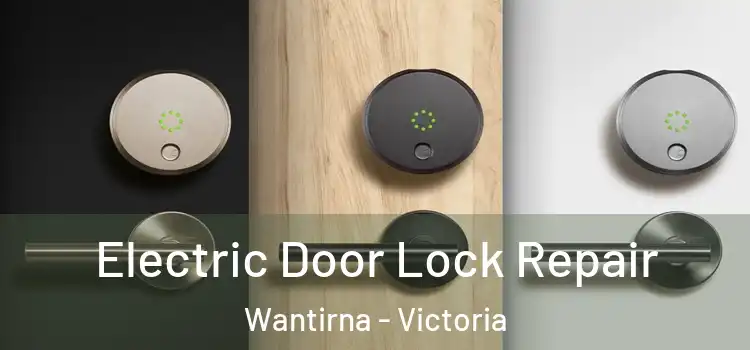 Electric Door Lock Repair Wantirna - Victoria