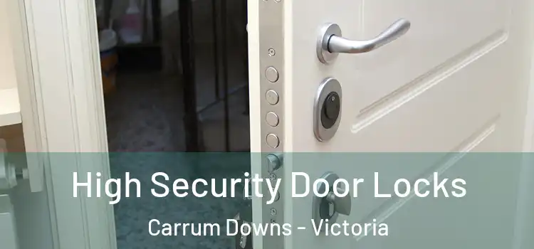 High Security Door Locks Carrum Downs - Victoria