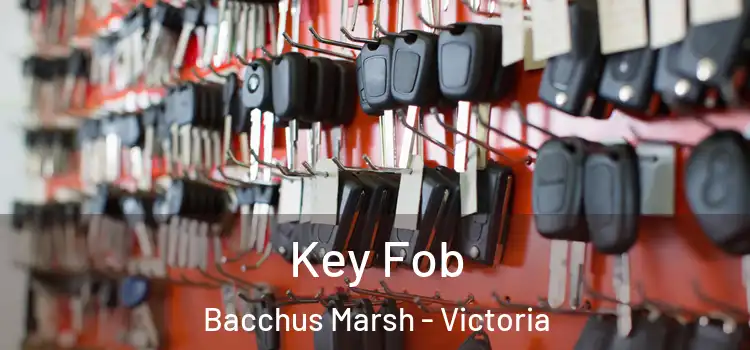 Key Fob Bacchus Marsh - Victoria