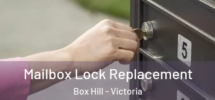 Mailbox Lock Replacement Box Hill - Victoria