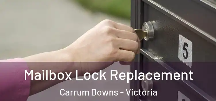 Mailbox Lock Replacement Carrum Downs - Victoria