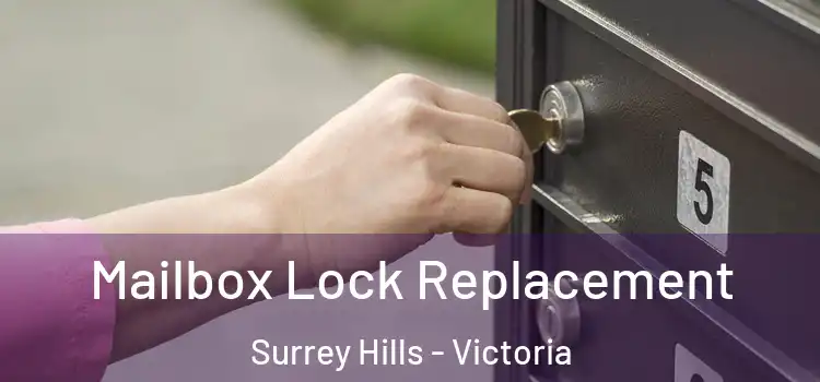 Mailbox Lock Replacement Surrey Hills - Victoria