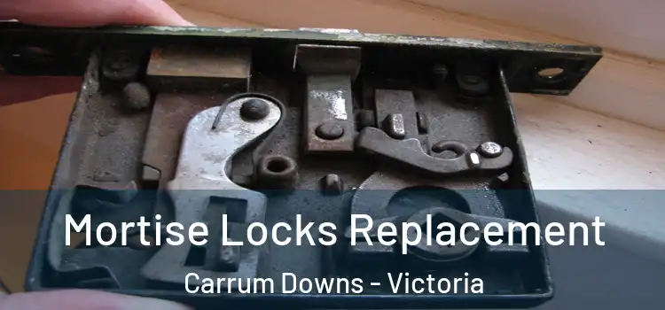 Mortise Locks Replacement Carrum Downs - Victoria