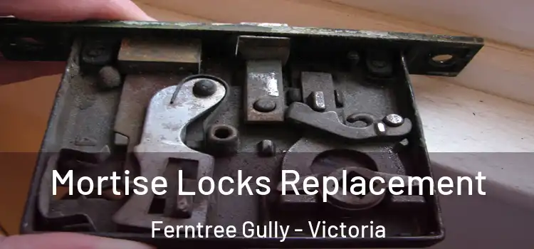 Mortise Locks Replacement Ferntree Gully - Victoria