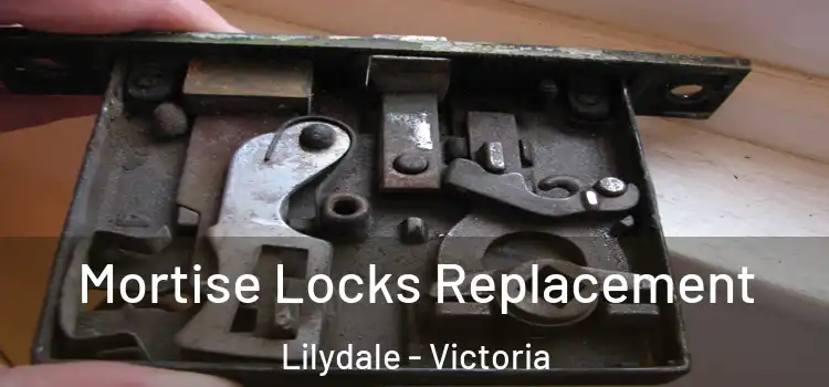 Mortise Locks Replacement Lilydale - Victoria